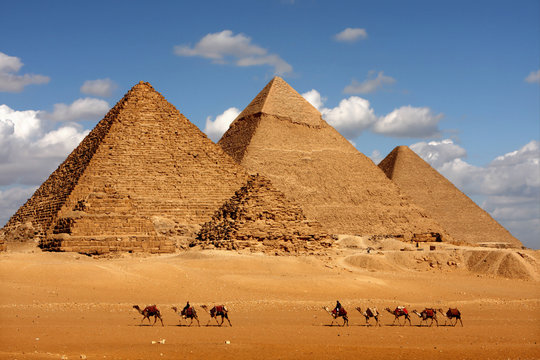 مصر